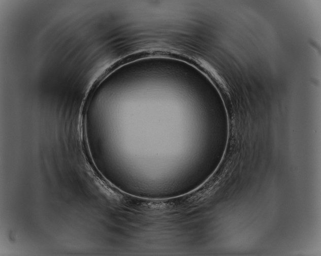 X0000091700791200709071348