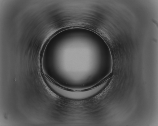 X0000091700792200709071348