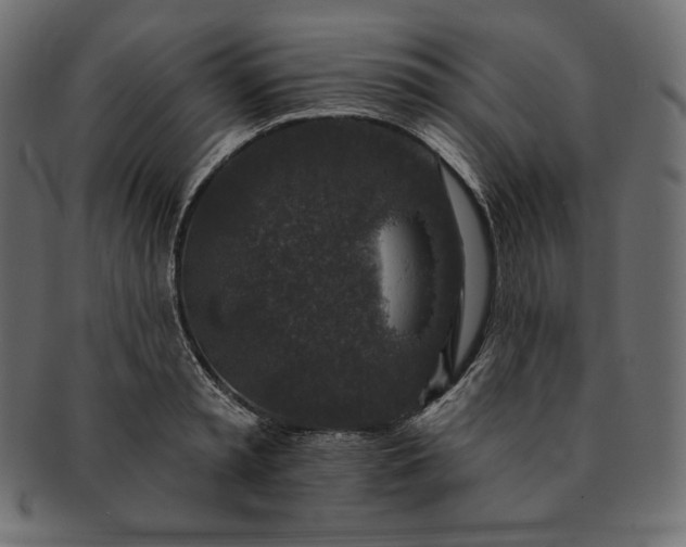 X0000091700797200709071348