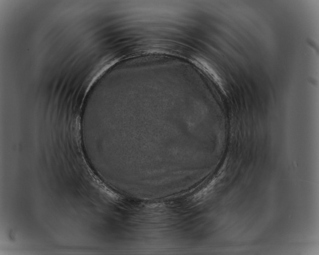 X0000091700798200709071348