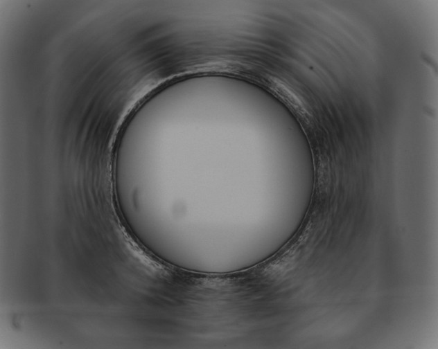 X0000091700800200709071348