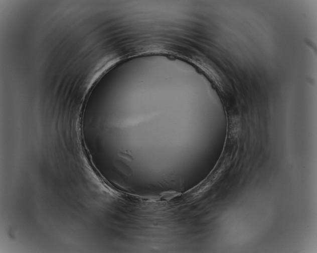 X0000091700806200709071348