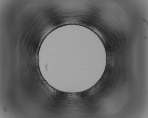 X0000091700807200709071348