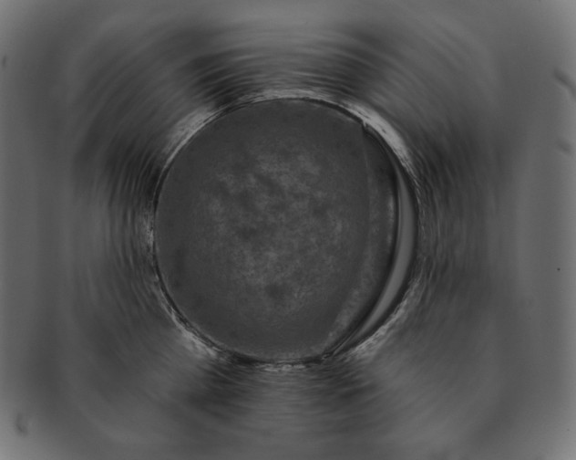 X0000091700809200709071348