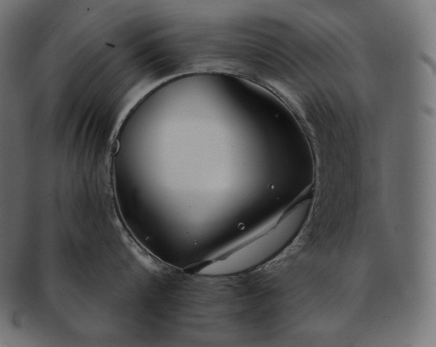 X0000091700816200709071347