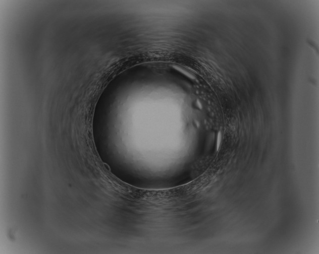 X0000091700817200709071347