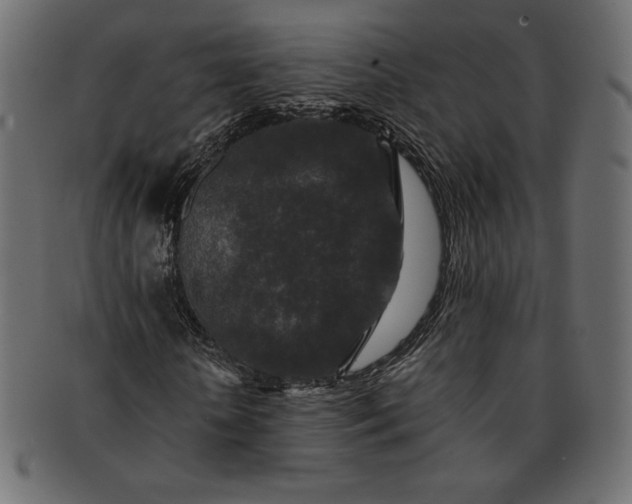 X0000091700818200709071347