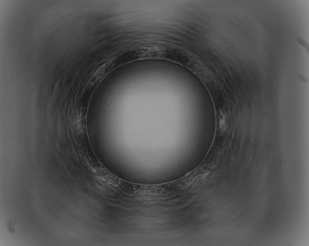 X0000091700819200709071347