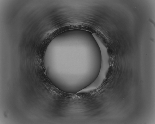 X0000091700822200709071347