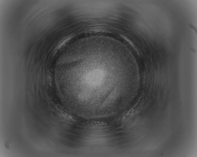 X0000091700823200709071347