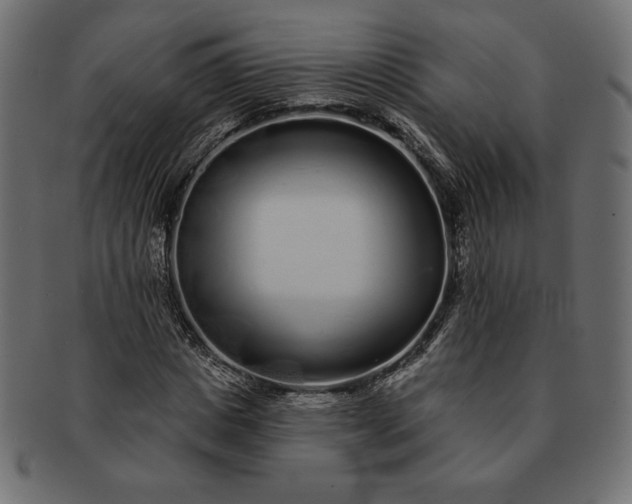 X0000091700825200709071347