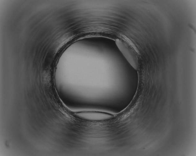 X0000091700826200709071347