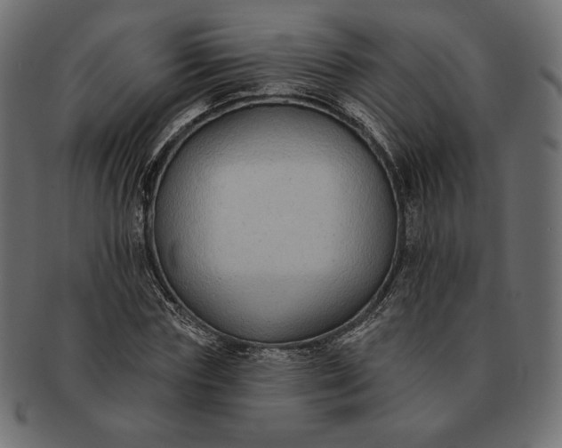 X0000091700827200709071347