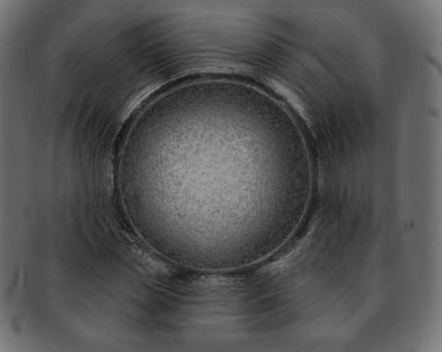 X0000091700829200709071347