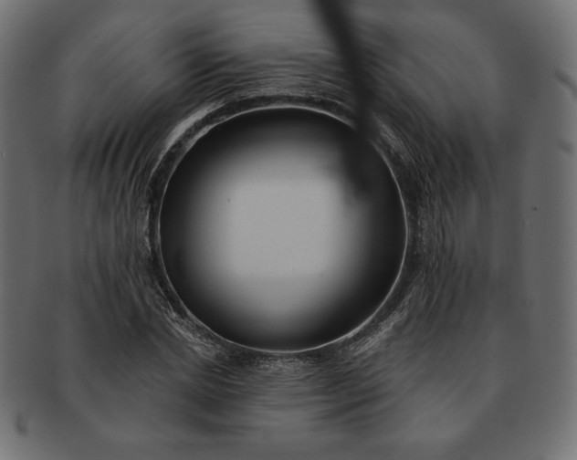 X0000091700830200709071347