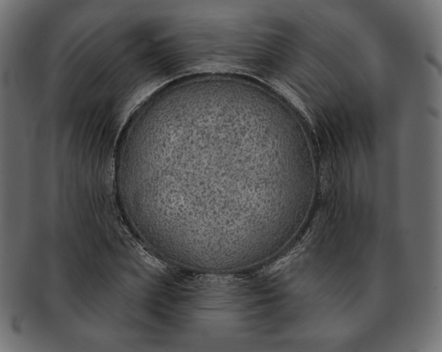 X0000091700831200709071347