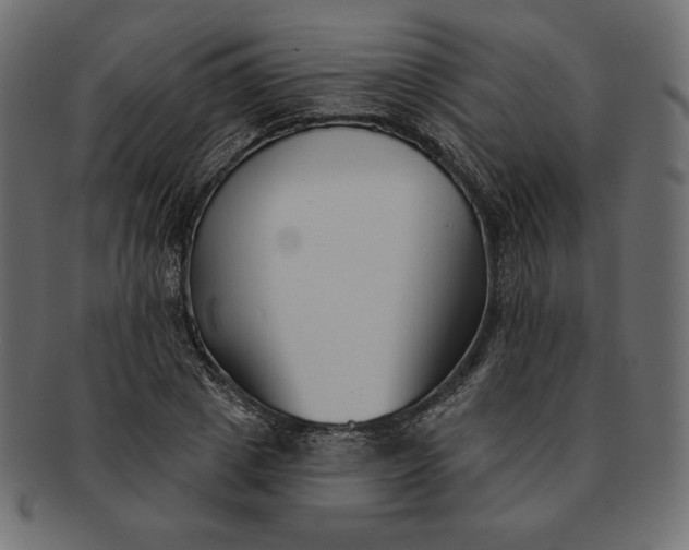 X0000091700833200709071347