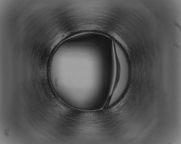 X0000091700834200709071347