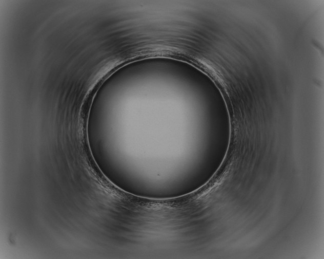 X0000091700835200709071347