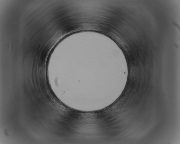 X0000091700836200709071347