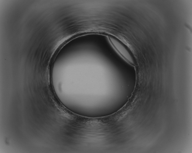 X0000091700838200709071347