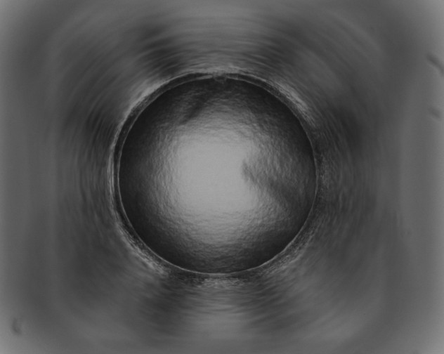 X0000091700840200709071347