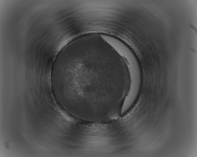 X0000091700842200709071347