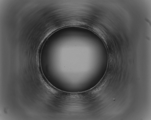 X0000091700843200709071347