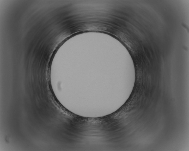 X0000091700848200709071347