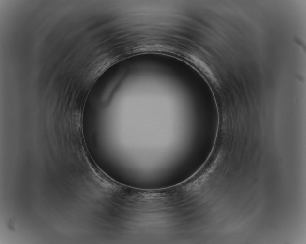 X0000091700849200709071347