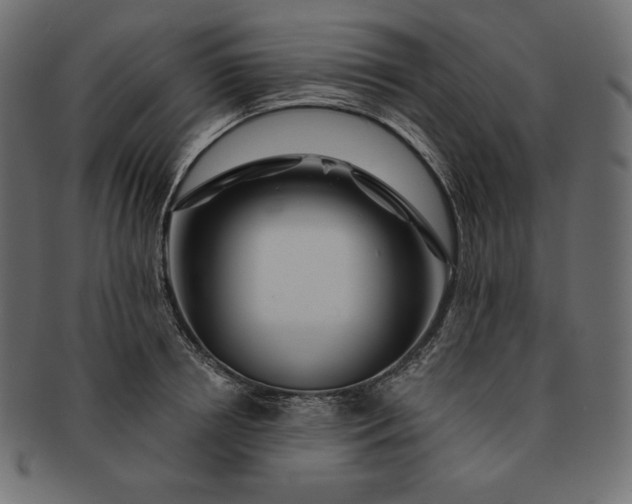 X0000091700850200709071347