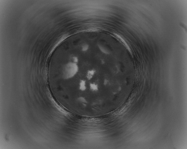 X0000091700851200709071347