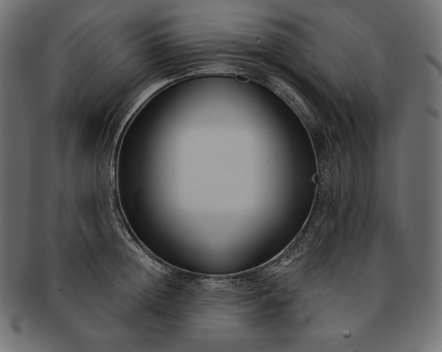 X0000091700852200709071347