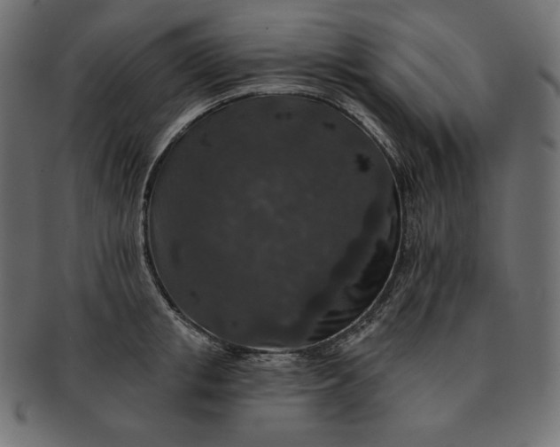 X0000091700853200709071347