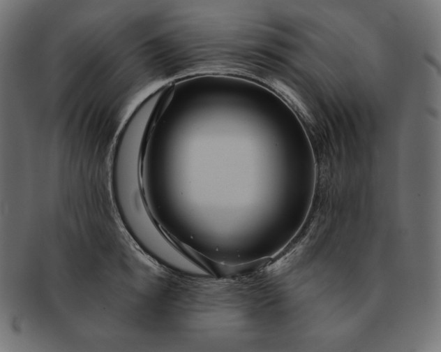 X0000091700854200709071347