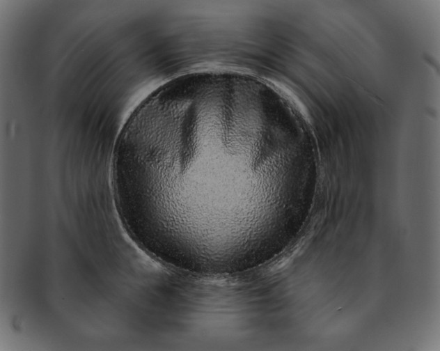 X0000091700855200709071347