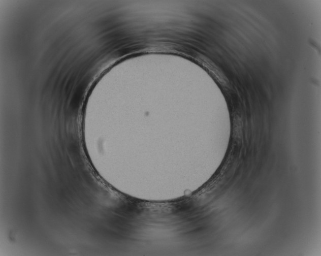 X0000091700856200709071347