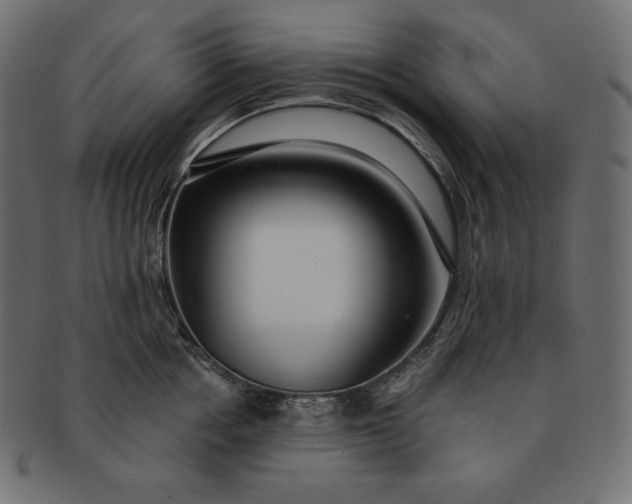 X0000091700858200709071347