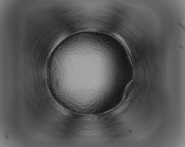 X0000091700859200709071347