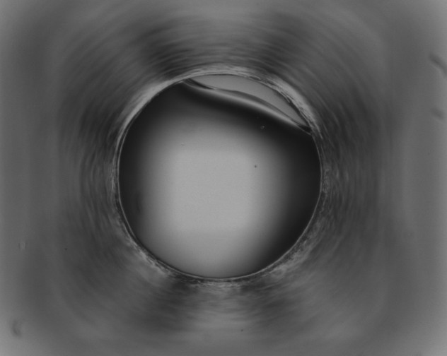 X0000091700860200709071347