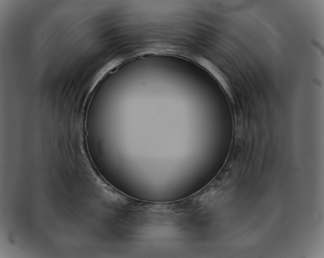 X0000091700861200709071347