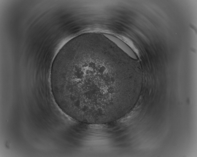 X0000091700863200709071347