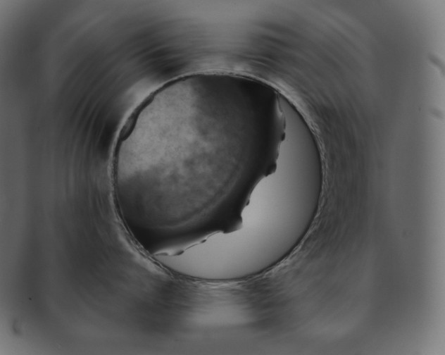 X0000091700864200709071347