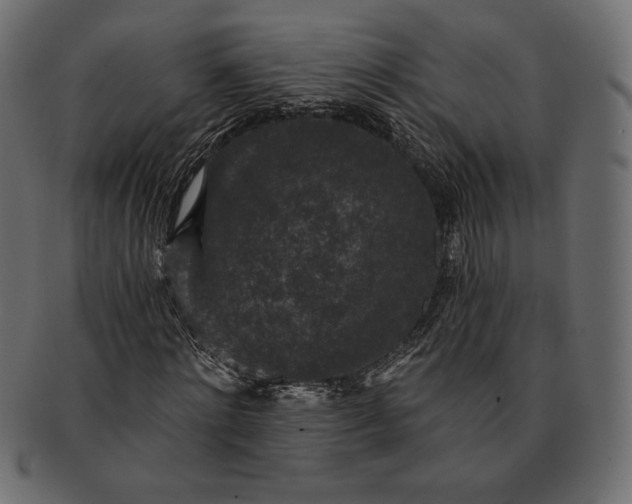 X0000091700868200709071347