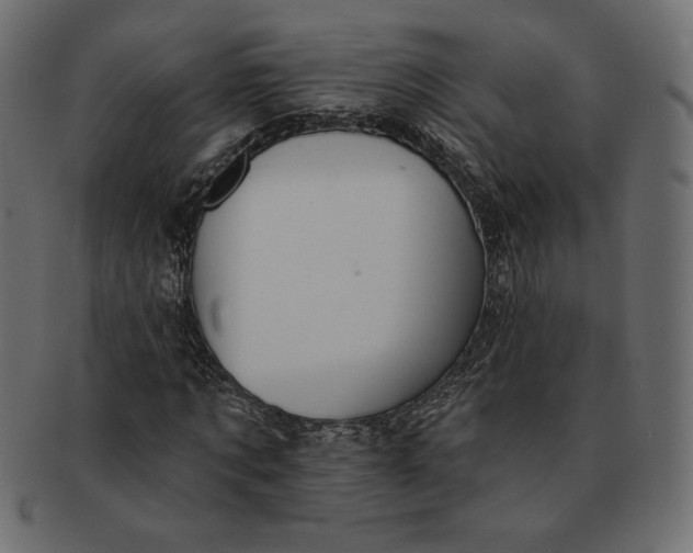 X0000091700869200709071347