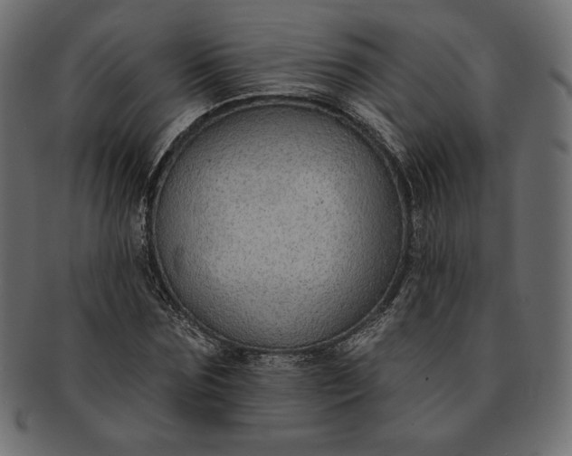 X0000091700875200709071346