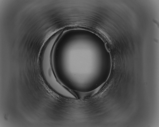 X0000091700876200709071346