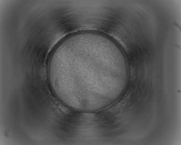 X0000091700878200709071346