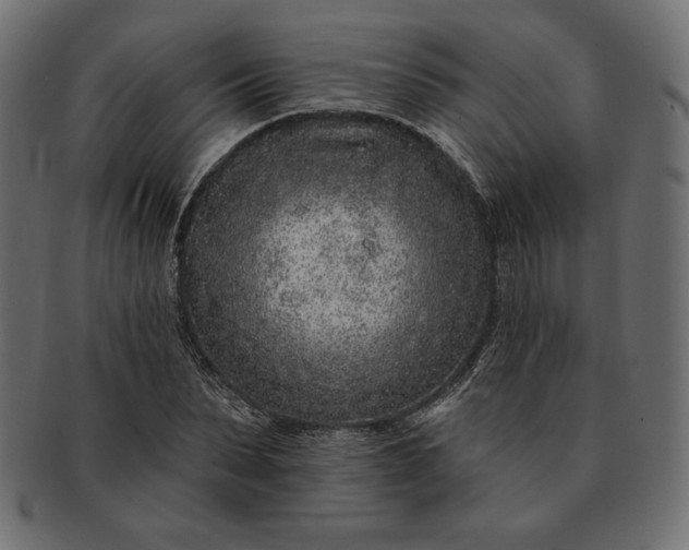 X0000091700879200709071346