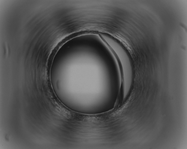 X0000091700880200709071346